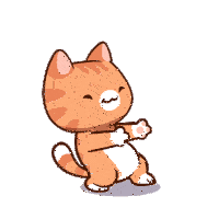 Cat dancing