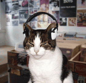 Cat enjoying music